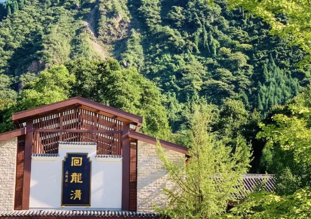 彭州太空舱营地,成都熊猫森林太空舱民宿