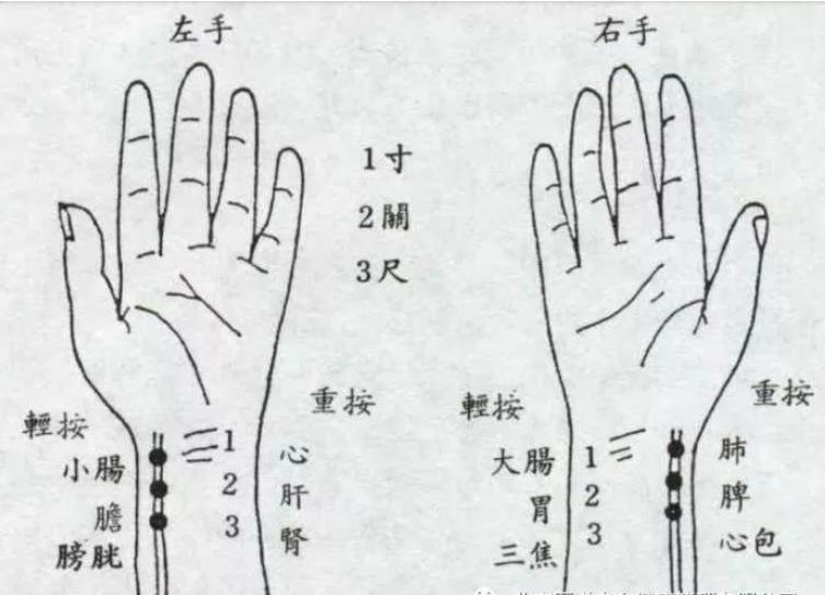 中医是如何从脉象辨别五脏疾病,中医如何辨别六经脉诊