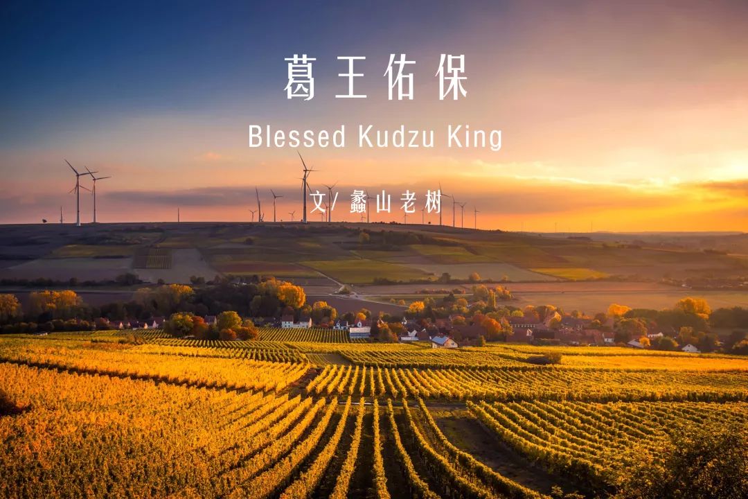 葛王佑保(中英双语)