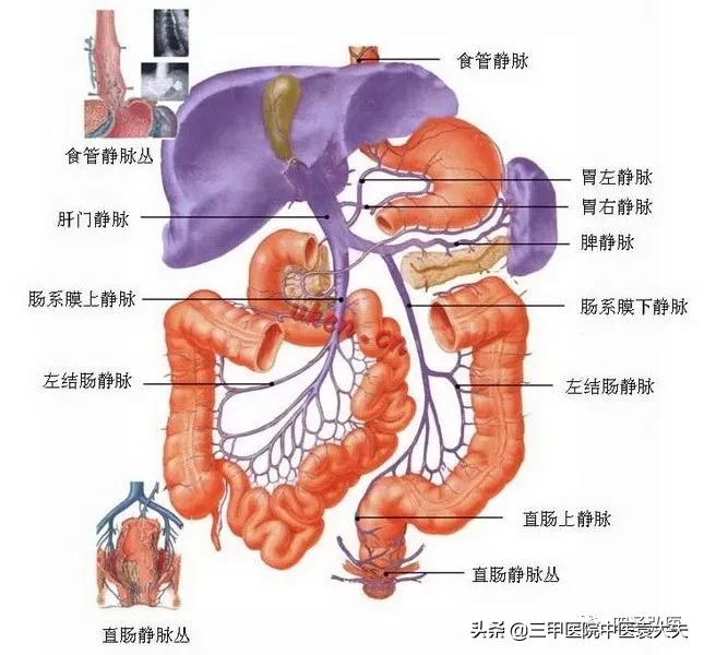 安倍晋三得溃疡性结肠炎怎么治,安倍晋三患溃疡性结肠炎多少年