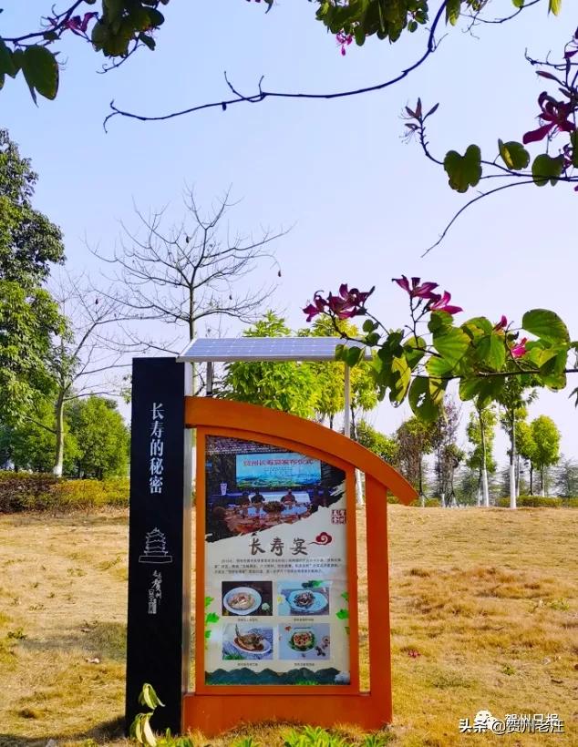 广西贺州免费景区,贺州景区公园