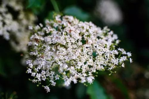 按什么穴位可以缓解肩周炎,一个动作专治肩周炎每天10分钟