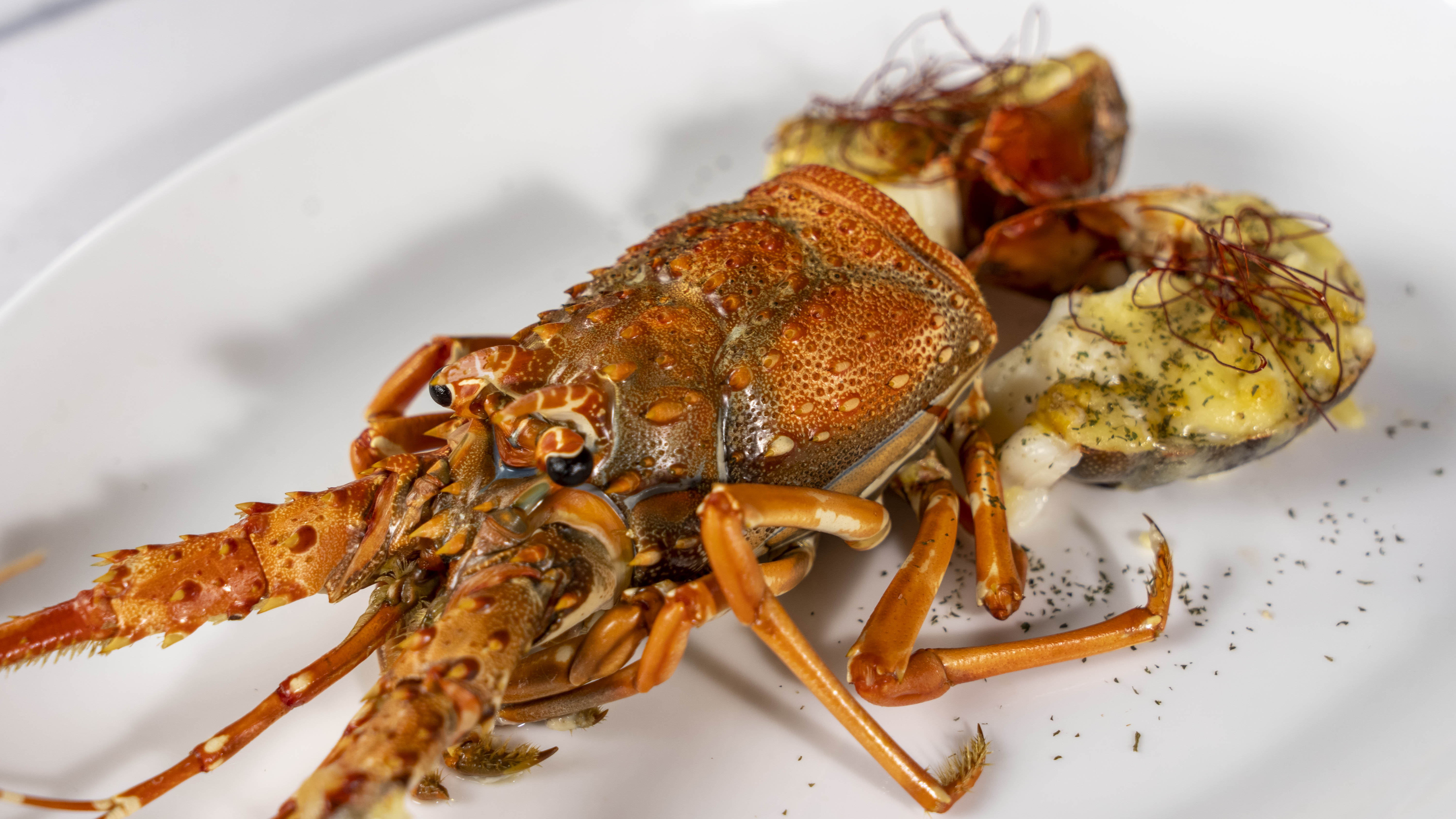 蒸烤一体机嵌入式推荐怎么选择,蒸烤一体机嵌入式柜子需注意什么