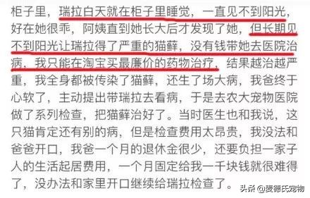 抖音里最火的网红猫,抖音上的几大网红猫