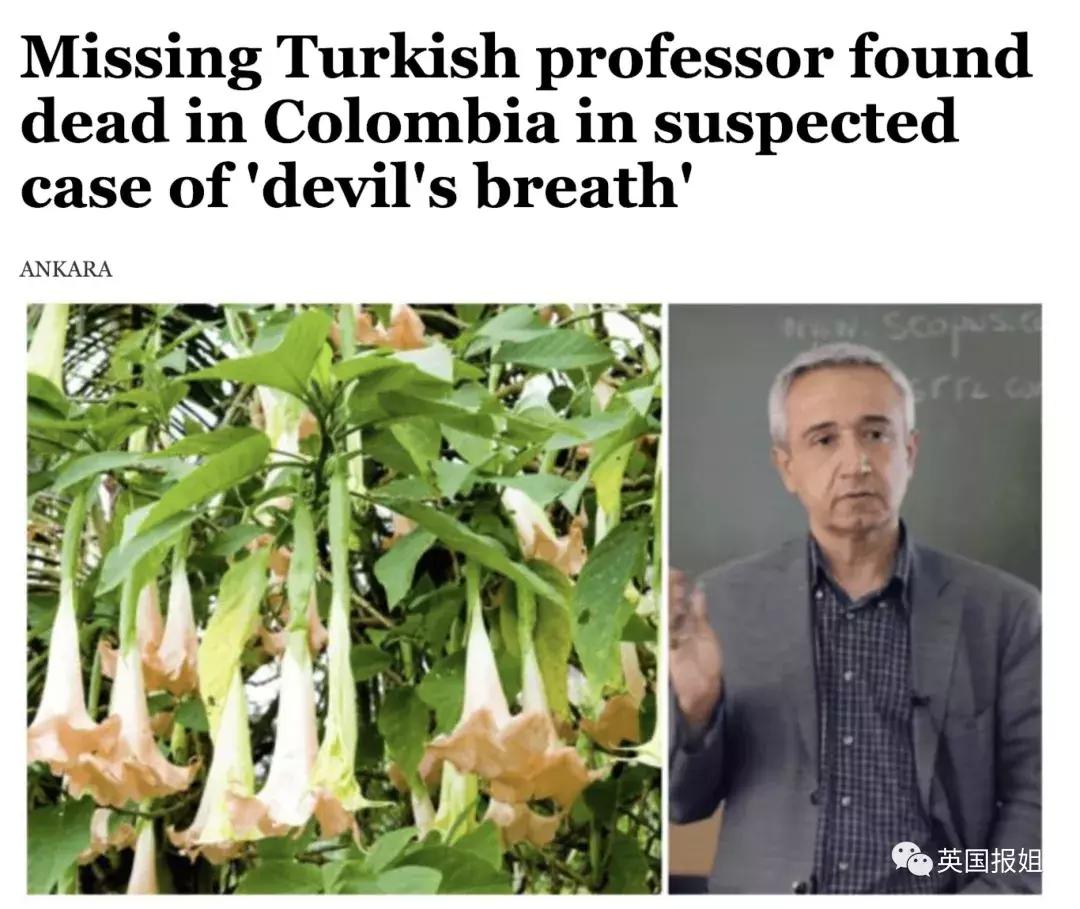 中国女生菲律宾被抓,菲律宾中国女游客被抓