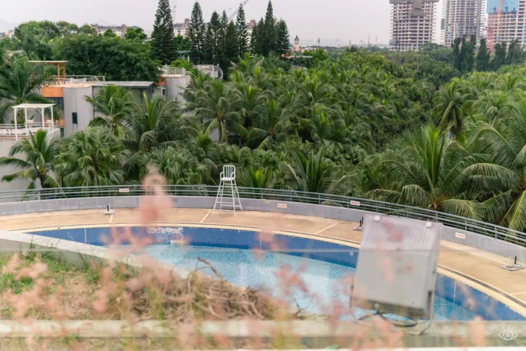 深圳香蜜湖别墅咖啡,深圳景观好的咖啡厅