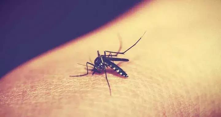 关于艾滋病的7个谣言，总有一款你深信不疑的