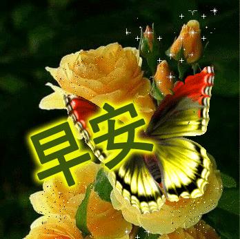 微信特好看早上好问候语表情图片,早上好微信问候语大全带表情包