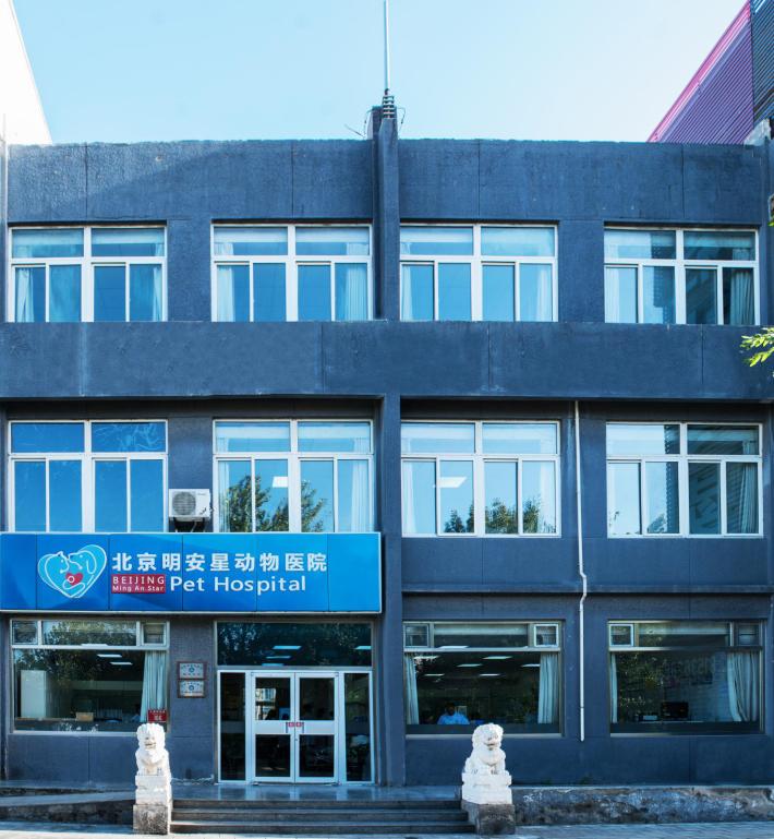 走进学者型院长的思维花园  专访明安星动物医院院长刘德