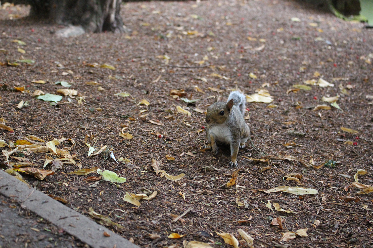 英国雷丁大学本科留学,雷丁大学研究生留学费用