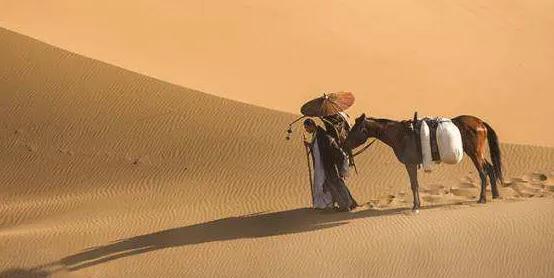 舍利子是高僧圆寂前吞下什么了吗,高僧圆寂后的舍利子究竟是什么