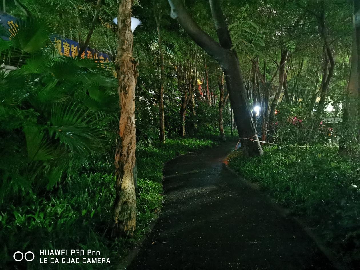 华为p30pro评测视频科技美学,华为p30pro升级鸿蒙拍照不清晰