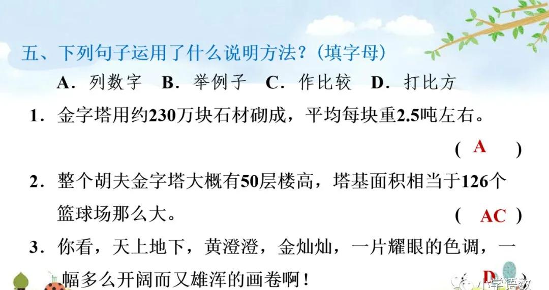部编版五年级下册语文金字塔教案,语文书五年级下册第20课课后练习