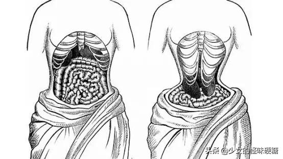 束腰带——变美绝招，还是催命符篆？求求姐妹们快扔掉它吧