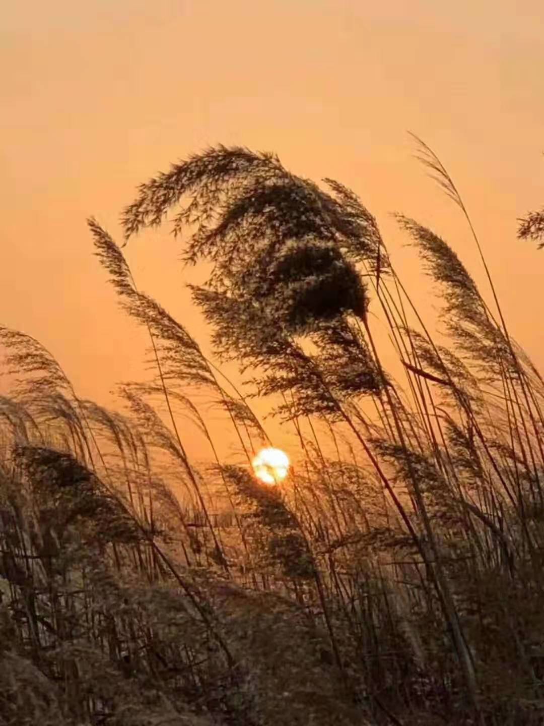 找秘书工作,做好秘书工作