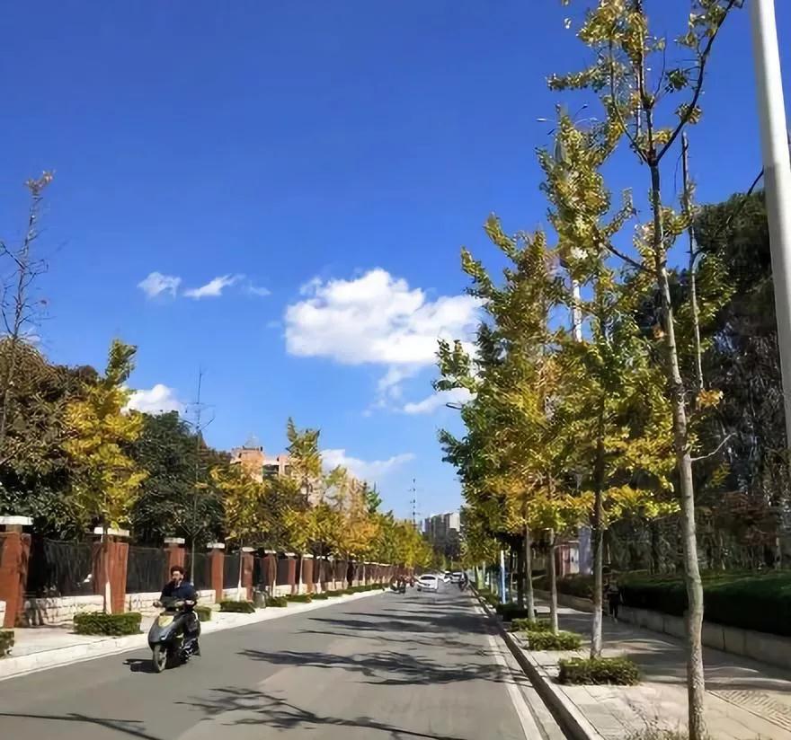 昆明最火网红打卡景点免费的,昆明最近的值得打卡的景点