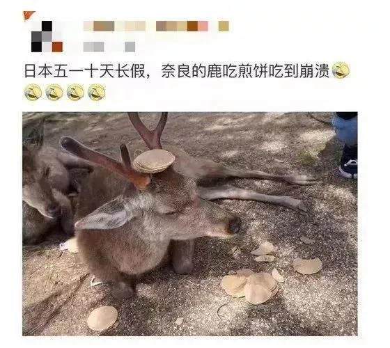 被冠以“素质低”的中国游客,如今成了一些国家最为思念的亲人