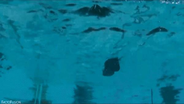 看完了这么多经典魔术背后的秘密,揭秘魔术背后真相