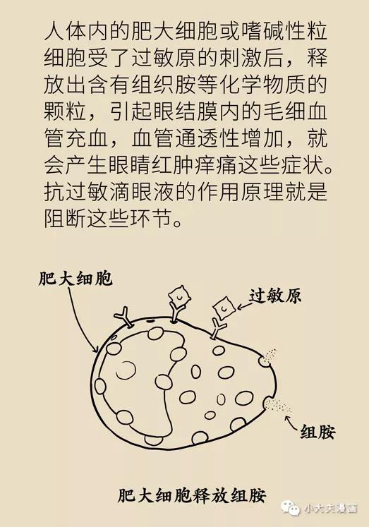 眼睛又痒又红又痛，过敏性结膜炎用这几招立马缓解