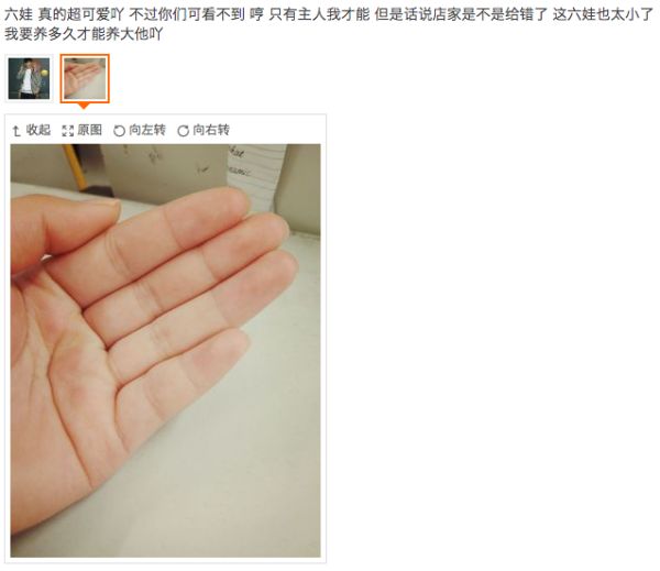 淘宝上的万能商品有哪些,淘宝上超好用的东西