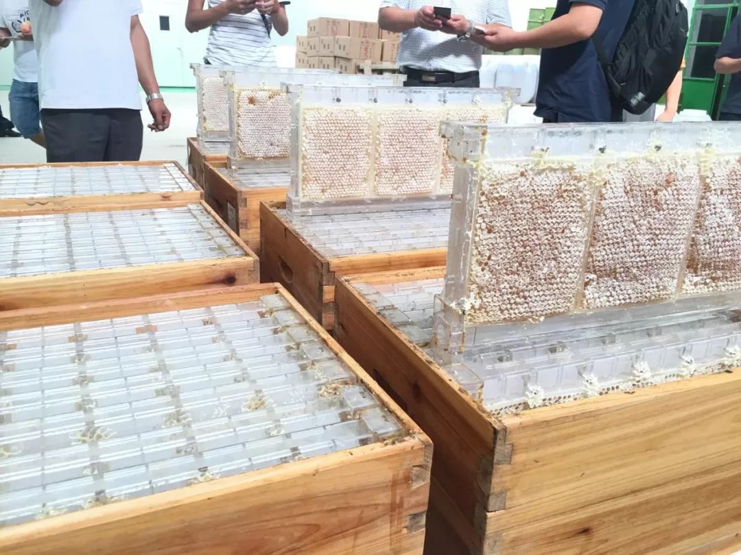 你喝的蜂蜜中可能有多少猫腻?听他给你说|新匠人学院