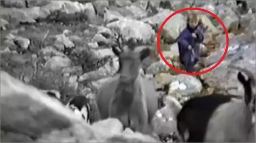 炸碎，灭门、逃难、流血，你无法想象金球奖“魔笛”经历过什么