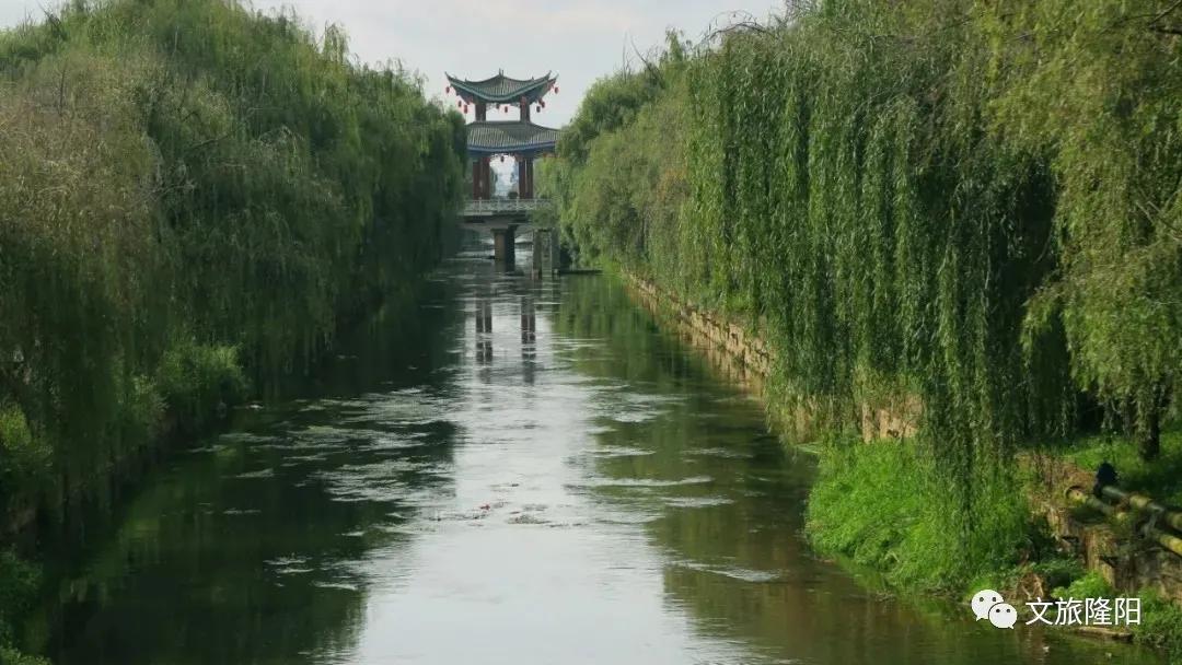 青龙街游玩地图已更新！一起去解锁新玩法吧~