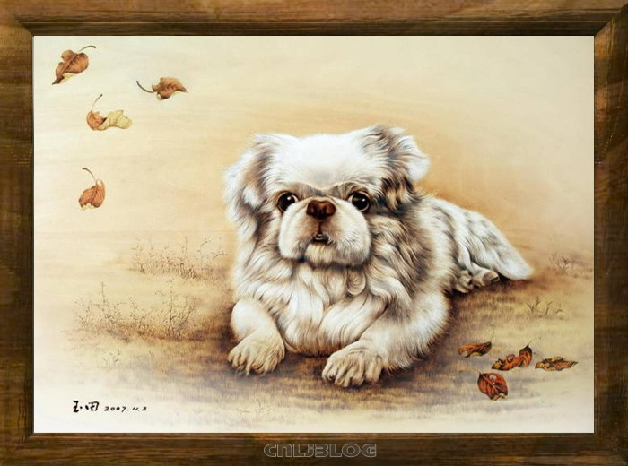 教你画画侧脸,烙画美图