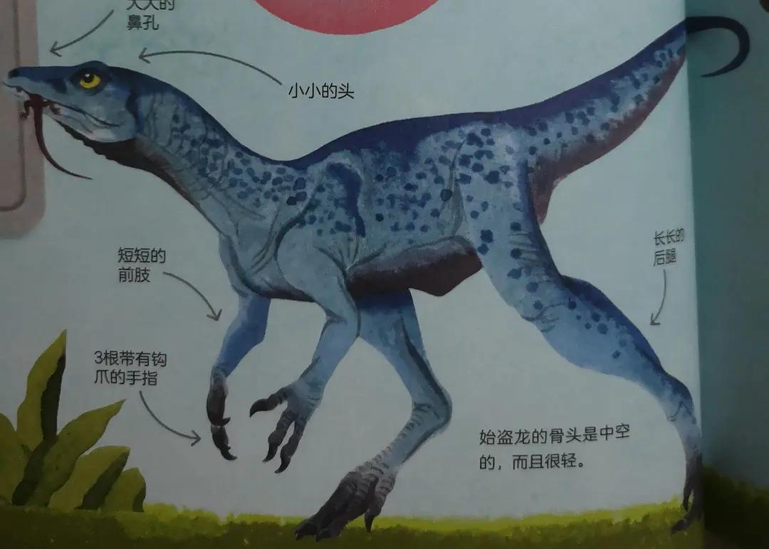 用恐龙模型打造真实的恐龙世界,恐龙时代里面的所有恐龙模型