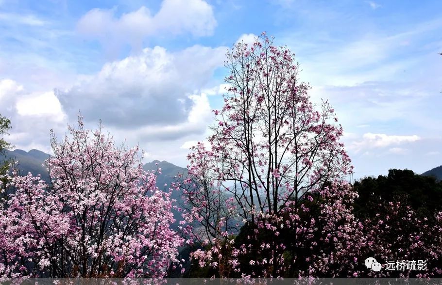药王谷里觅旧迹（原图文）