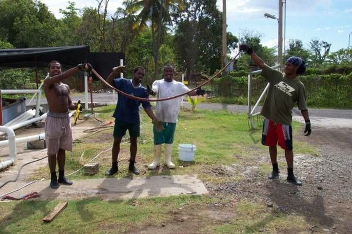 深海巨虫博比特,巨型海虫博比特