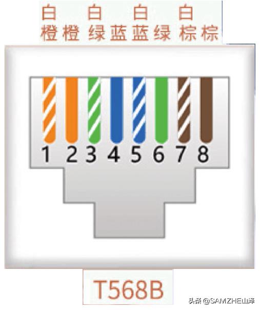 双口网线面板可以代替两根网线吗,怎么把一根网线设置成多根网