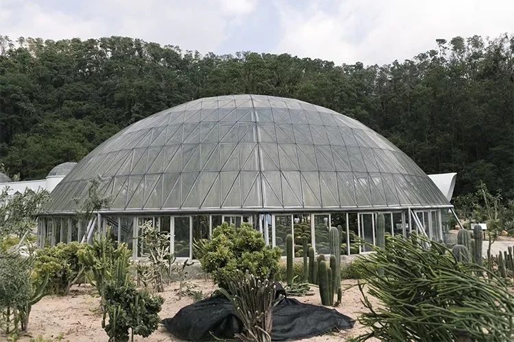 深圳吃喝玩乐两日游推荐,深圳周边游吃喝一日游推荐