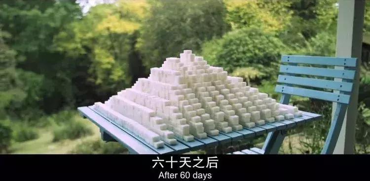 跑步3个月能解决脂肪肝,跑步一个月脂肪肝的变化