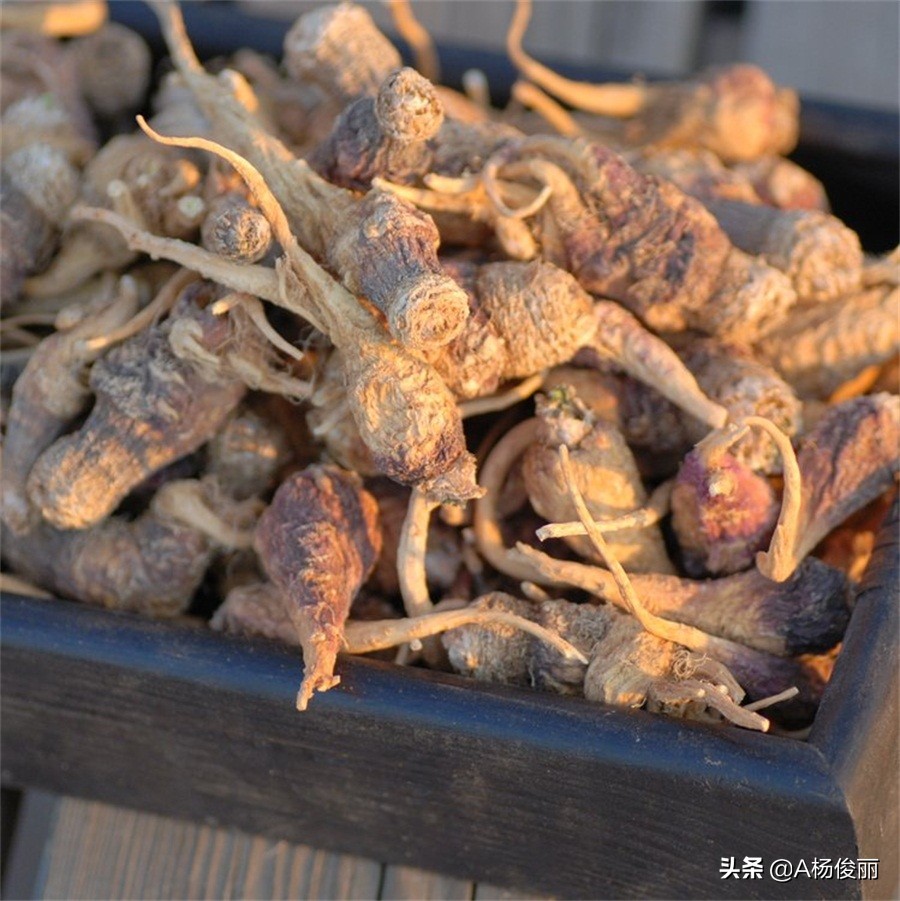 唐三镜生料酿酒技术,唐三镜酒厂米酒配方