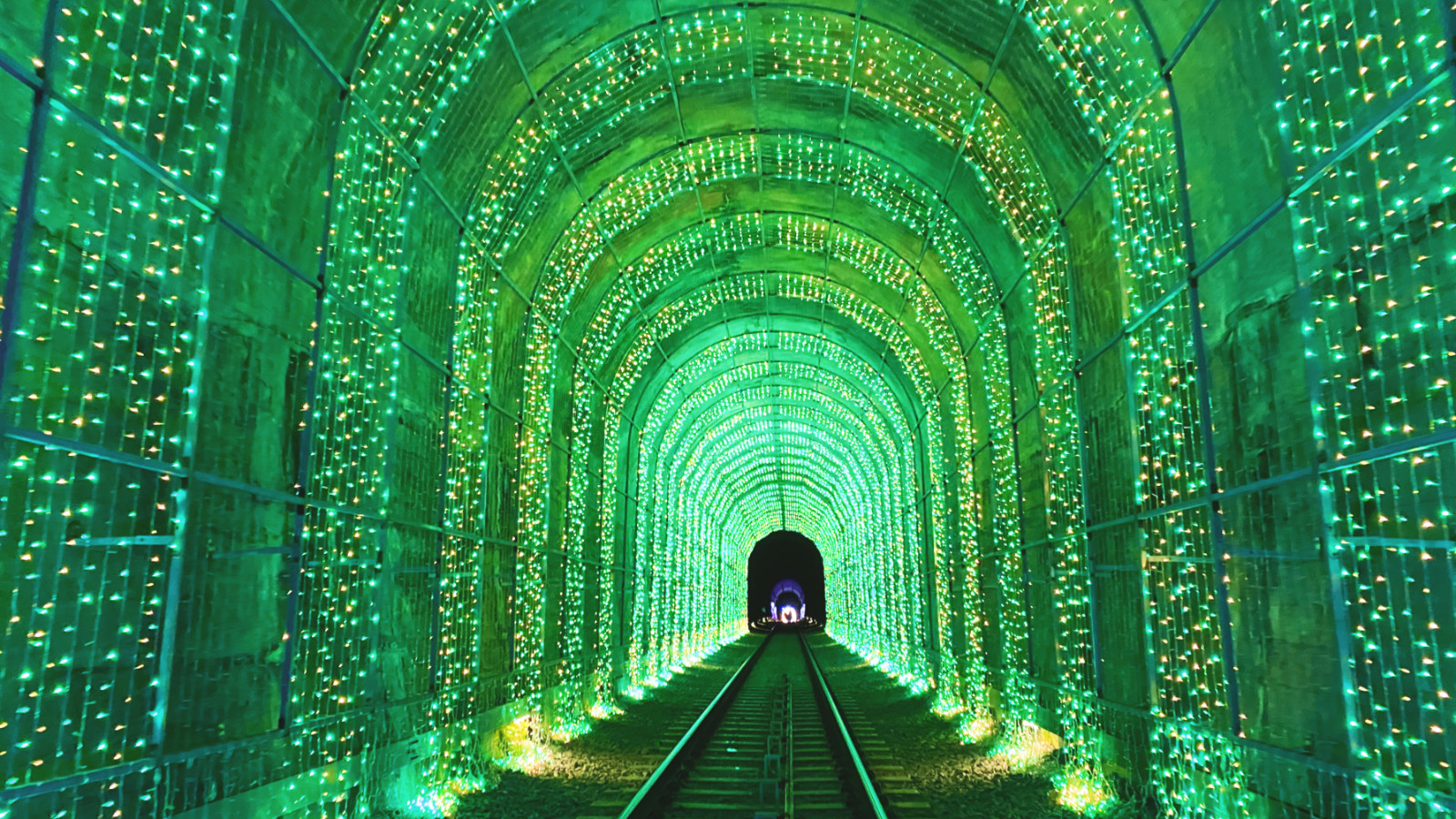 哇,人参随便挖!韩国还能这么玩