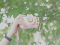 我爱上了一个女孩原版,我爱上了一个女孩原视频