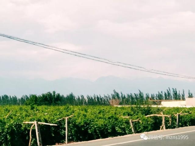 去库木塔格沙漠的感受,去新疆库木塔格沙漠最佳时间