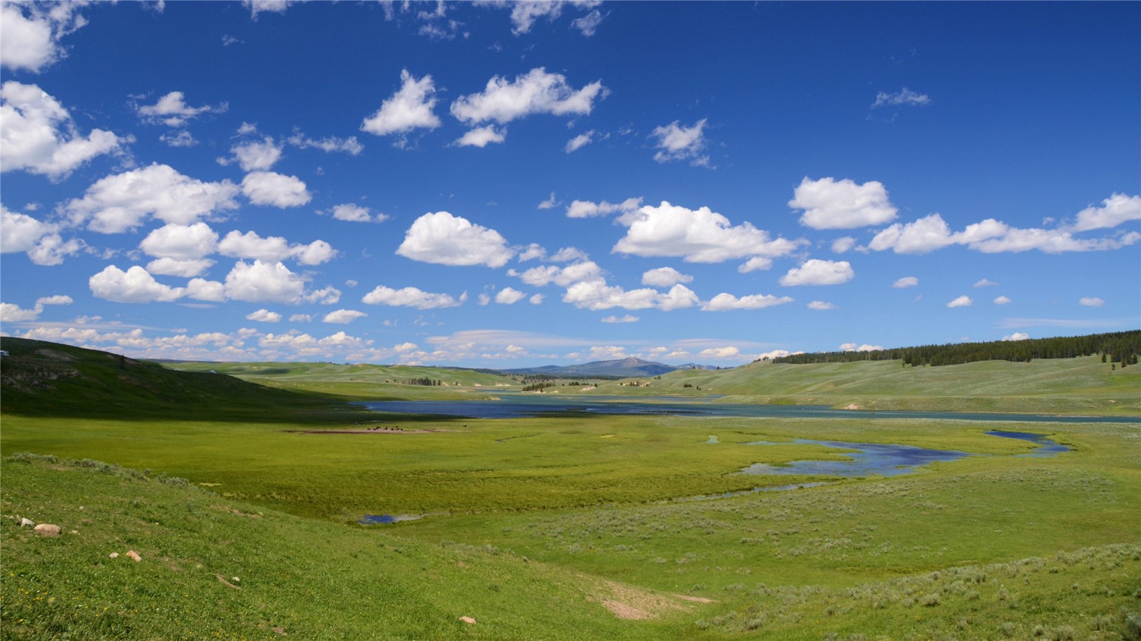 心理学对未来和当下的解析,人的潜力都是被逼出来的心理学