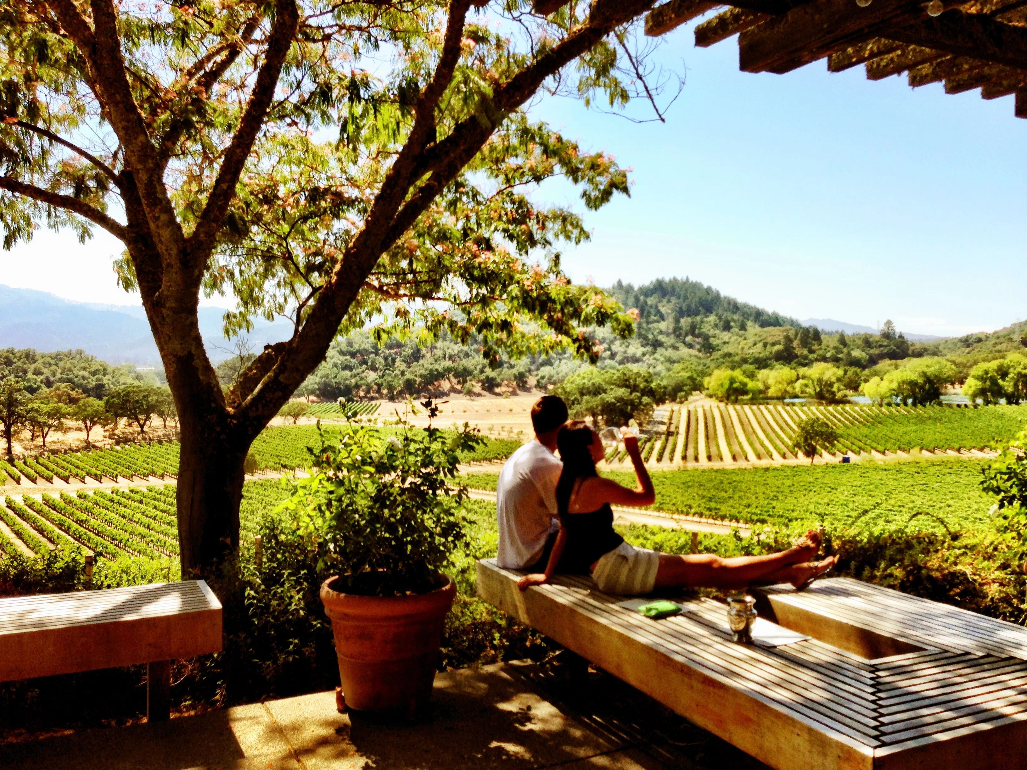 一个酒庄一个月收入大概多少,酒庄为什么特别挣钱