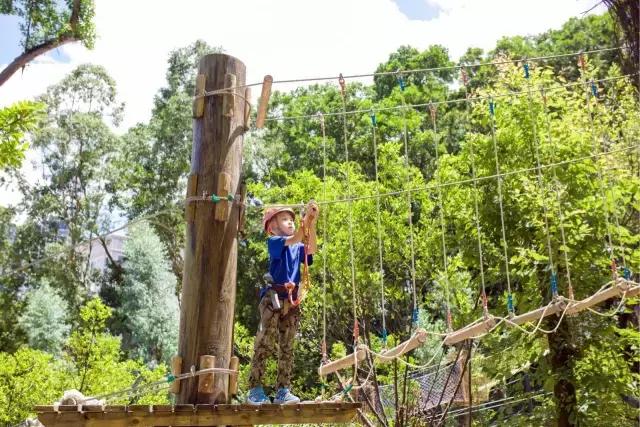 可拉熊团购,深圳可拉熊丛林探险营地团购门票