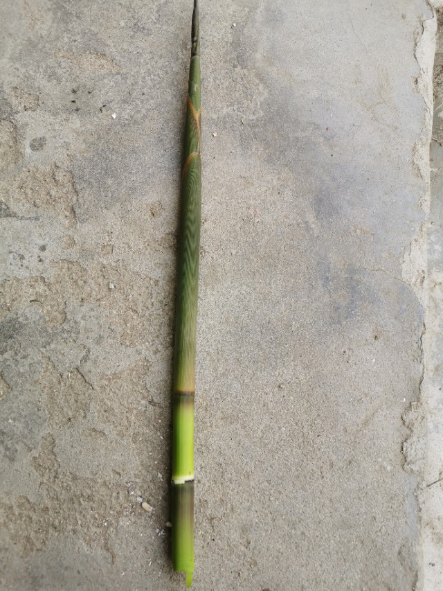 煮过的竹笋怎样在冰箱里长期保存,竹笋拔了怎么保存