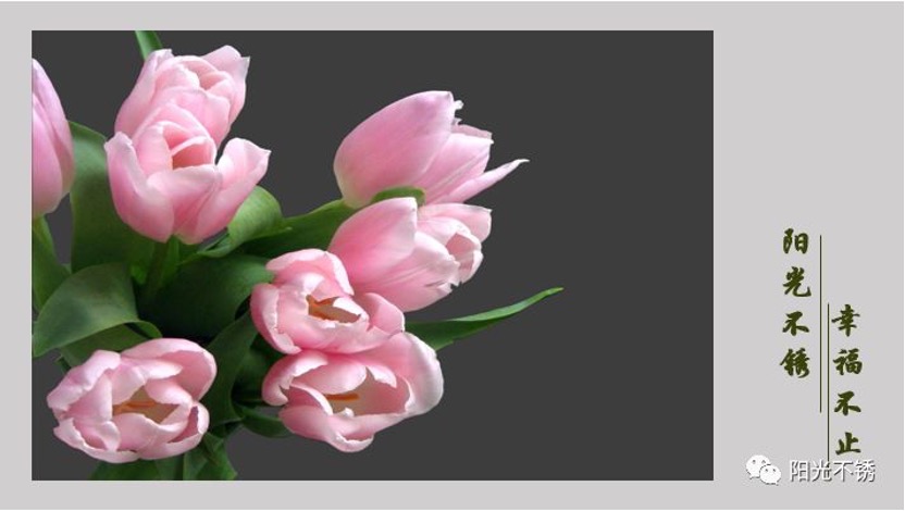 在瑞士买什么有纪念意义,在瑞士消费高