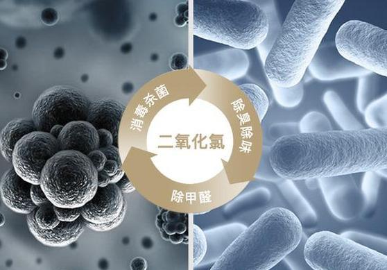 负氧离子空气净化凝胶,清华大学教授除甲醛产品