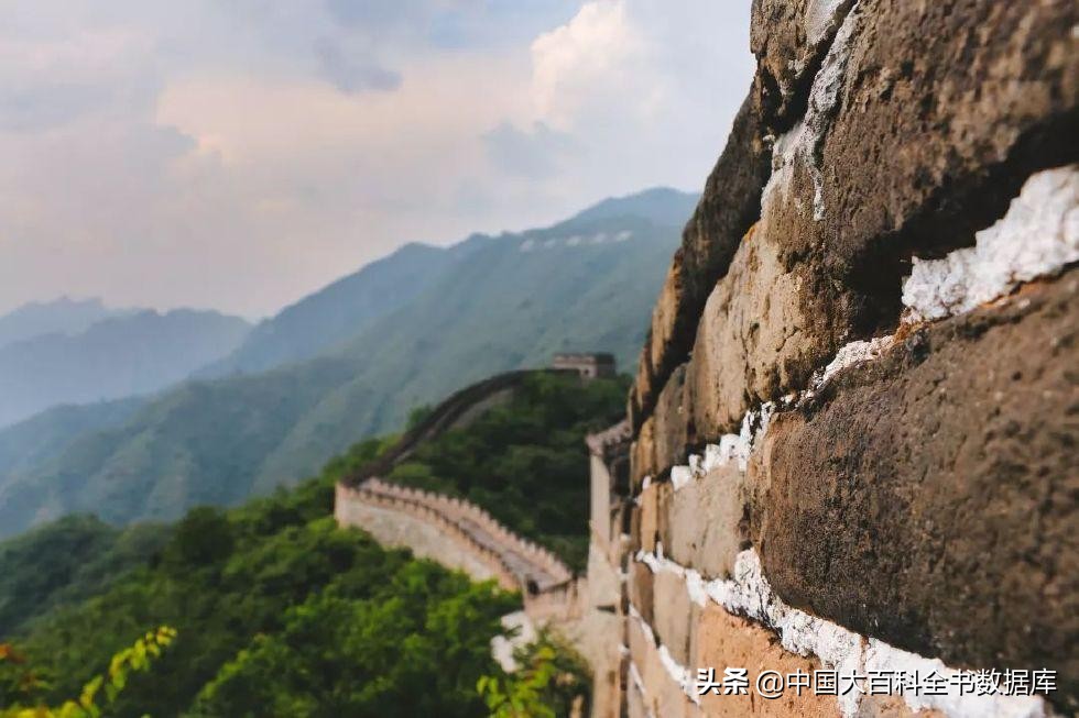 “万能胶”502的名字竟然来源于实验室的房间号