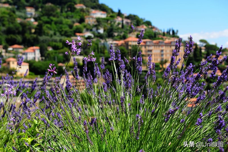 感受法国浪漫的东方韵小镇,邂逅法国最美小镇