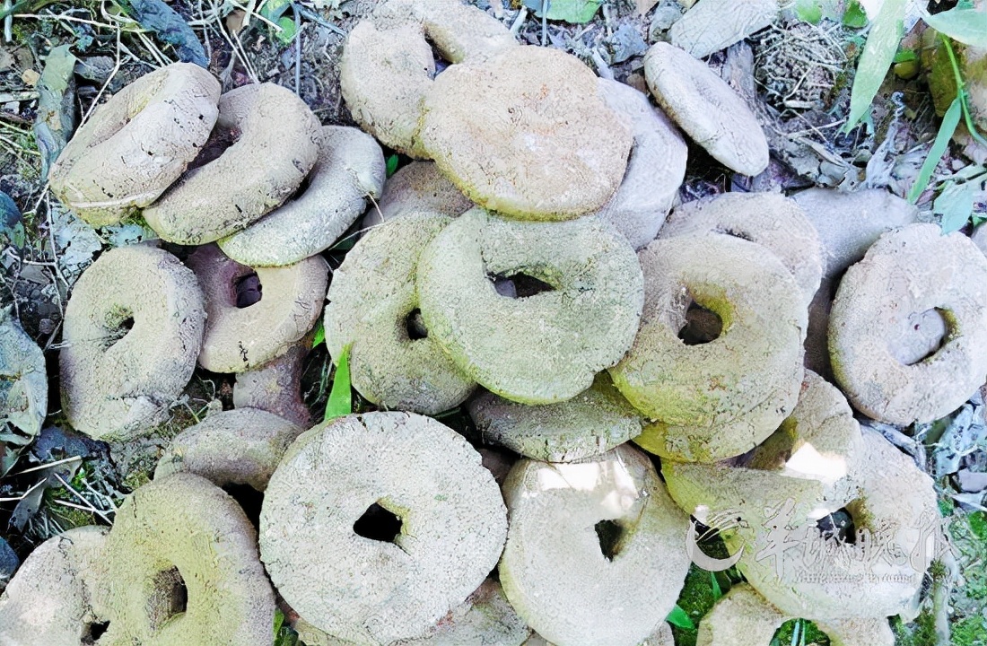 怎么通过瓶底鉴别瓷器,鉴定瓷器的基础知识