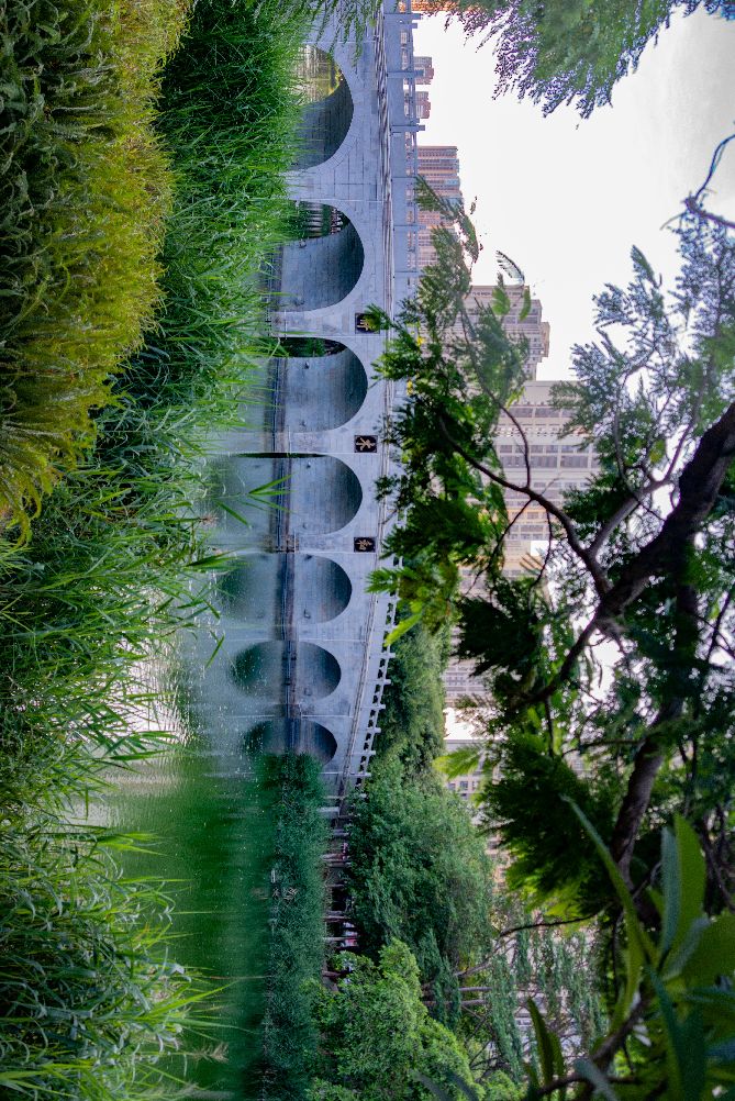 日本相机黑历史,日本相机年代感