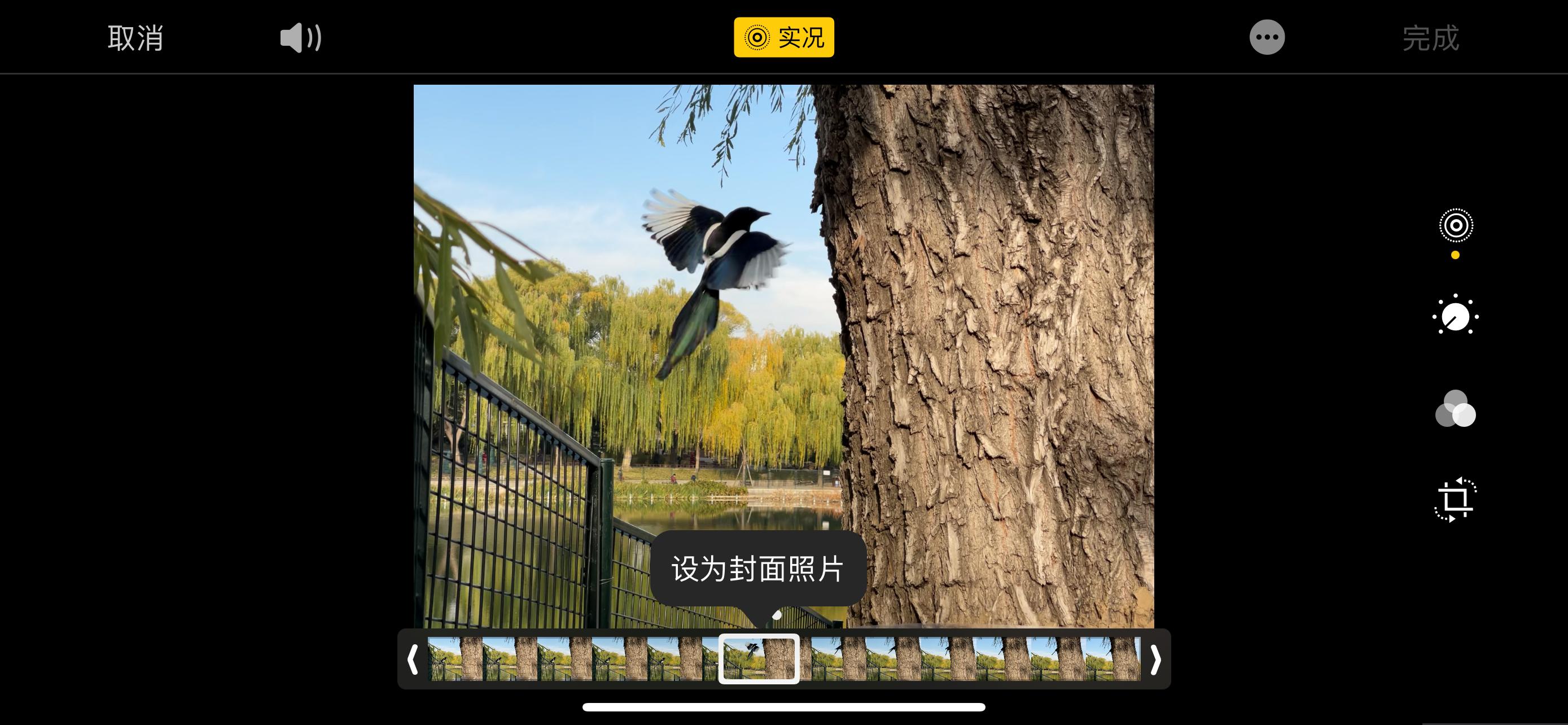 用iphone12拍大片,用iphone12拍出电影感