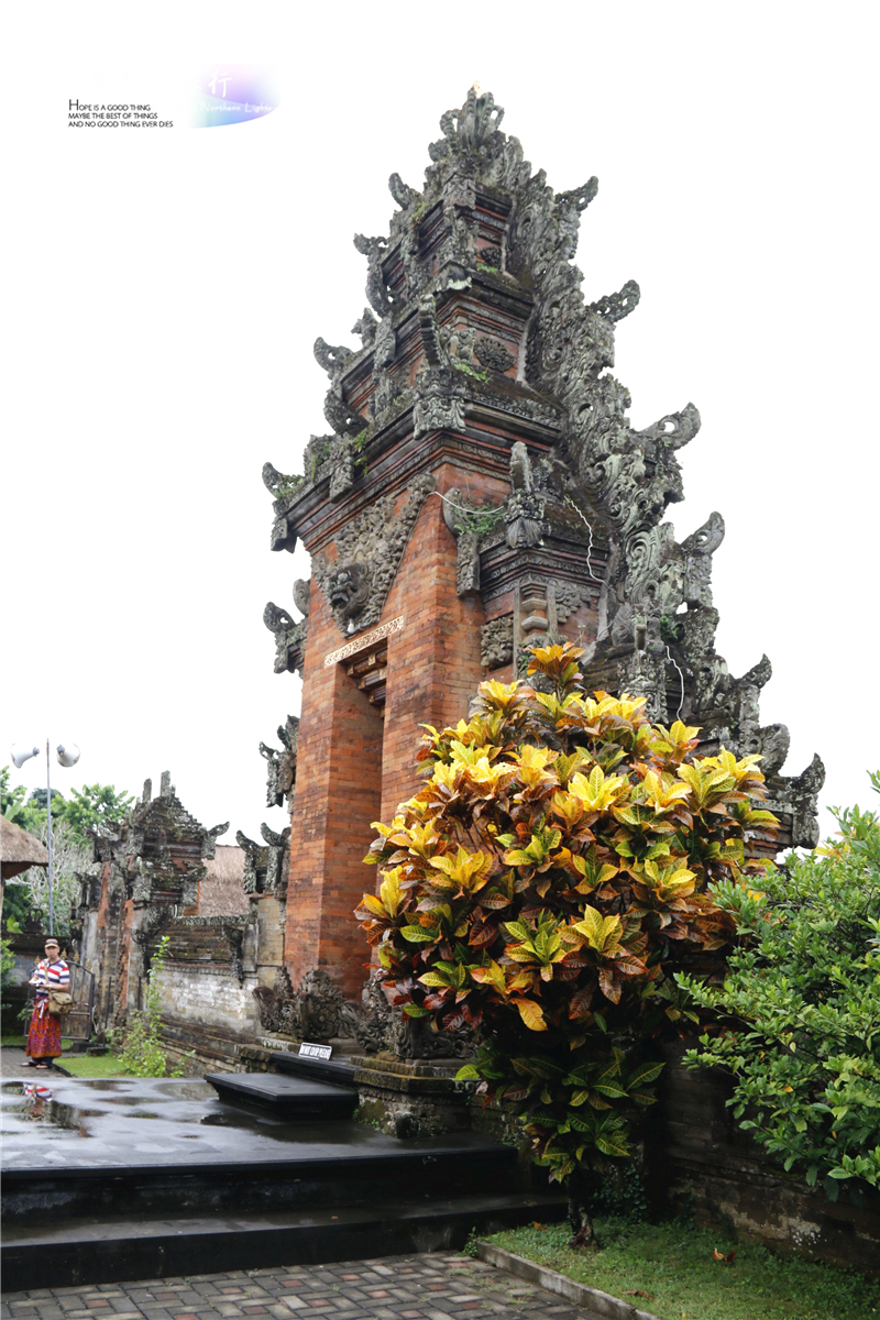 印尼猫屎咖啡比普通咖啡贵几倍,雅丁山印尼猫屎风味咖啡价格